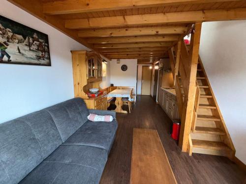 Les Saisies - Grand 3 Pièces Mezzanine 2 Salles de Bain pour 8 Pers. - FR-1-293-66