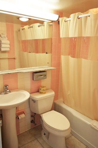 a bathroom with a toilet and a sink and a shower at Huntingdon Motor Inn in Huntingdon