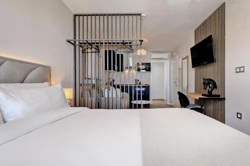 Palm Suites photo 12