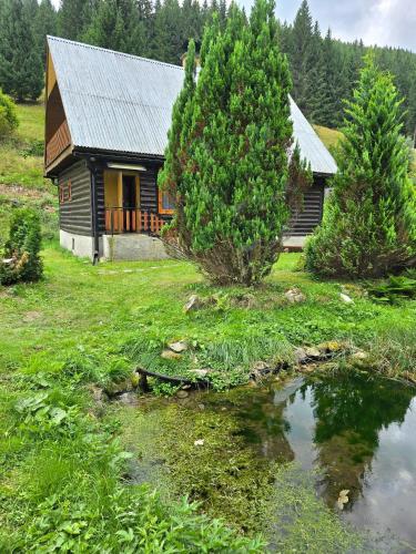Chata pri jazierku - Cottage by the Little Lake