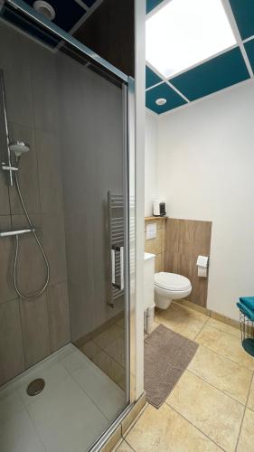 a bathroom with a shower and a toilet at Studio au bord de la Rivière in Florentin-la-Capelle
