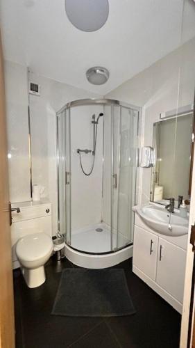a bathroom with a shower and a toilet and a sink at Shanahans B&B with Sports Bar in Birmingham