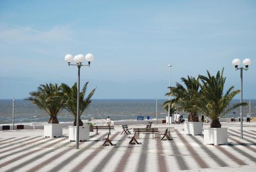 a beach with benches and palm trees and the ocean at Palace Hotel Zandvoort in Zandvoort