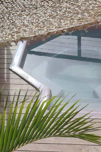 a window in a house with a palm plant at Beach apartment, Ti Clé de Lo in Pointe-Noire
