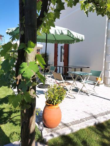 an orange pot sitting next to a tree with chairs and an umbrella at La grange des Bruyères, maison rénovée, 5 chambres in Biscarrosse