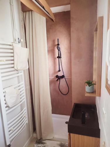 a bathroom with a shower and a bath tub at La Petite Escale in Lunel