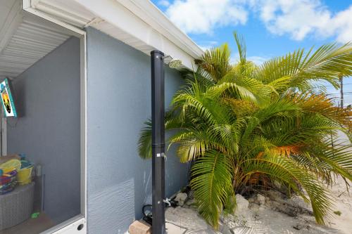 a palm tree in front of a house at Waterfront oasis with NEW POOL and kayaks in Hernando Beach