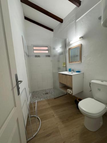 a bathroom with a toilet and a shower and a sink at Villa Soussoute - à 2mn de la plage de Tartane in La Trinité