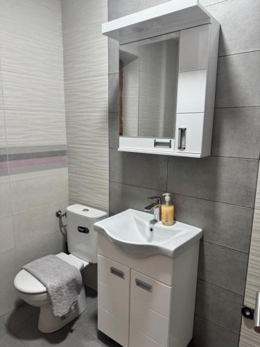 Ένα μπάνιο στο Apartmani TEŠNJAR VALJEVO