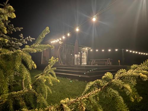 a house with lights and a bench in the yard at Melnā kalna kamene in Vestiena