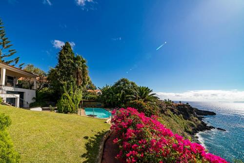 Villa Albatroz