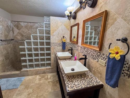 a bathroom with a sink and a shower at Caribbean Shores Belize in Hopkins