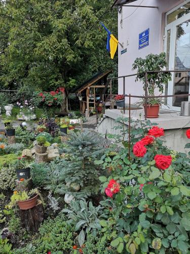 a garden with flowers and plants in front of a house at Готель-хостел " Нафтуся" in Truskavets