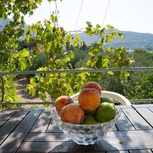 Panormos,Irene's studios