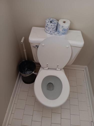 a bathroom with a toilet with two rolls of toilet paper at Bonita Bungalow in Huntsville