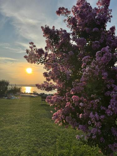 Mia's House on Lake Garda photo 2