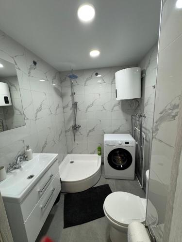 a bathroom with a toilet sink and a washing machine at JK apartment in Rēzekne