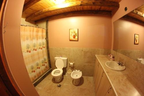 a bathroom with a toilet and a sink at Manantial in Guaymallen