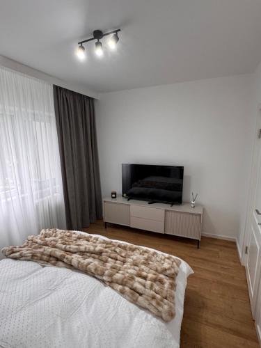 a bedroom with a bed and a flat screen tv at Olt view apartament in Călimăneşti