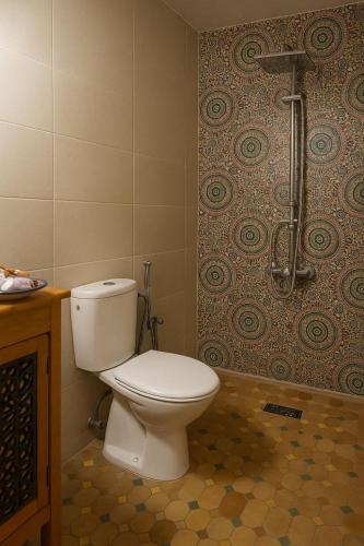 a bathroom with a toilet and a shower at Riad Hamad Tijani in Fès