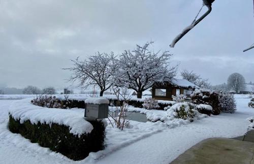 a garden covered in snow with a gazebo at La Ferme in Barberêche