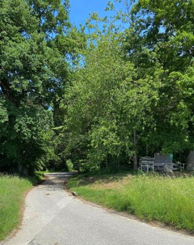a road with trees and a bench on the side at La Ferme in Barberêche