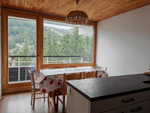 Apt 45 m2 sur les pistes