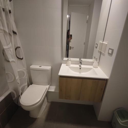 a white bathroom with a toilet and a sink at Vanguardia 924 in Temuco