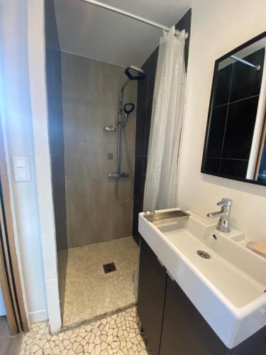 Koupelna v ubytování Maison climatisée Bassin d'Arcachon, port et plage à 800m