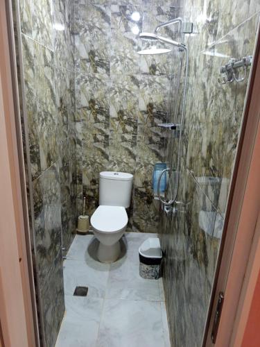 a bathroom with a toilet and a walk in shower at კაველა 555 in Tbilisi City