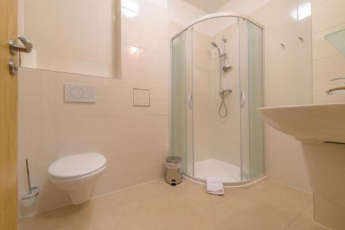uma casa de banho com um chuveiro, um WC e um lavatório. em Penzion Panský dům em Rozmitál pod Tremsínem