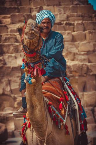 Gallery image of Noya Of Giza Pyramids in Giza