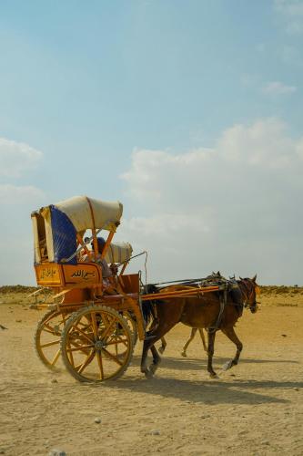 Gallery image of Noya Of Giza Pyramids in Giza