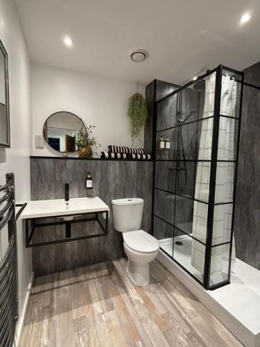a bathroom with a toilet and a shower and a sink at New City Centre Flat No 2 2 Bedroom Free Parking in Leicester