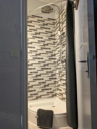 a bathroom with a shower and a bath tub at Le nid douillet Industriel in La Bourboule