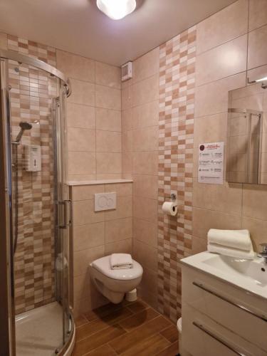 a bathroom with a toilet and a shower and a sink at Hôtel du Centre - Restaurant Lelex'ir in Lélex