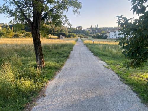 La camera nel verde