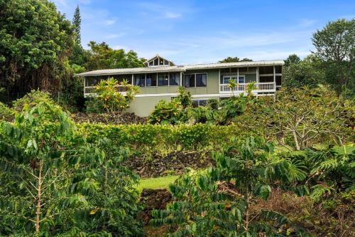 a house on top of a hill with trees at Orchid Hale in Kailua-Kona