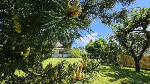 Galería fotográfica de Gîte de France Fleuret 3 épis - Gîte de France 6 personnes MAE-9573 en Combressol