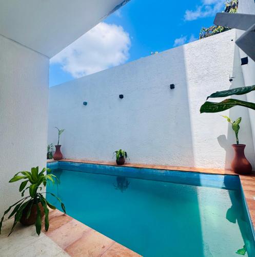 a swimming pool in a house with plants at Kauil Tulum in Tulum
