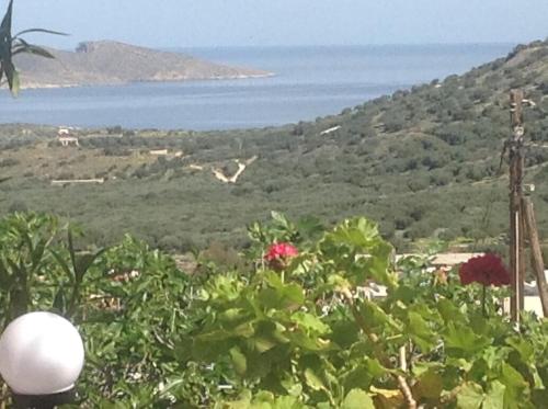 a view of the ocean from a hill with flowers at Gaby's charming house in Kavoúsion