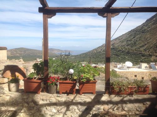 a group of potted plants on a stone wall at Gaby's charming house in Kavoúsion