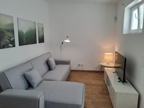 ein Wohnzimmer mit Sofa und Fernseher in der Unterkunft CASA DA PRAIA DA POÇA - Apartamento Rosa in Estoril