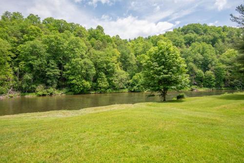 a tree in a field next to a river at 2Bd Riverfront with Expansive Outdoor Space, River Access, Fire Pit in Crumpler