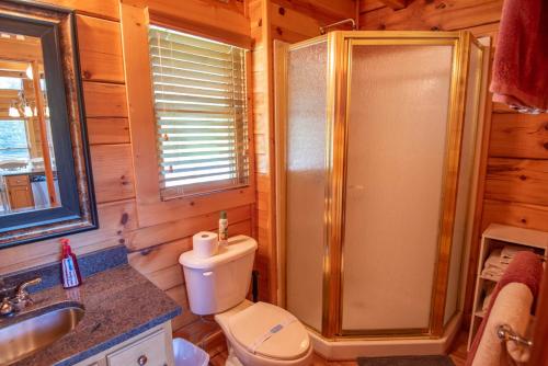 a bathroom with a shower and a toilet and a sink at Cabin on New River, Fire Pit, Dogs OK, Hot Tub with VIEWS - Sleeps 10 in Piney Creek