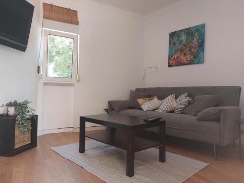 Newly renovated apartment with free street parking