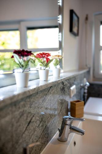 a bathroom sink with three potted flowers on a counter at Dachgeschosswohnung mit Klimaanlage-15min vom Europa Park entfernt in Kenzingen