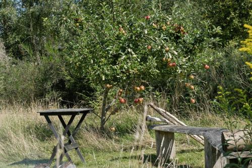 a bench and a table in front of an apple tree at Wooden House With Wild Garden By Sejerø Bay in Kalundborg