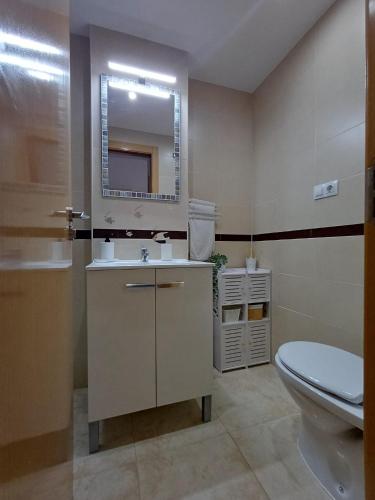 a bathroom with a toilet and a sink and a mirror at Relax y Naturaleza in Oropesa del Mar