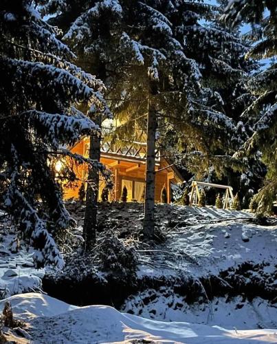 a log cabin in the snow with trees at The mountain house Dora in Kochani